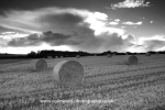 Thunder heads    ref 1234