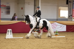 SBM_09313