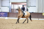 SBM_001295