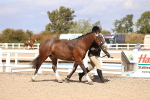 SBM_14265