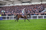 130326-Race 5-Gaelic Warrior-2662