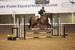 Show Jumping portfolio