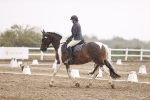 SBM_004784