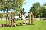 SBM_39194