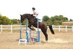 SBM_002446
