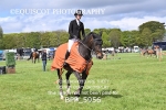 BPP_5956