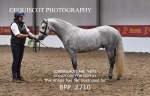 BPP_2710