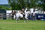 SBM_17389