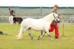 SBM_04409