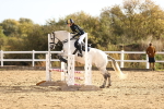 SBM_000538