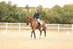 SBM_004491