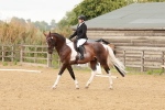 SBM_001886