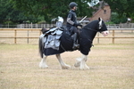 WJ6_8837