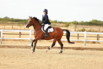 SBM_002047