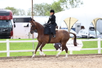 SBM_03326
