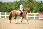 SBM_008908