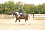 SBM_000566