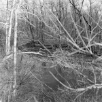 Loyalhanna Creek, Latrobe, Pennsylvania, 2023