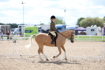 Class 311 - Ridden Show Pony Show Hunter Pony portfolio