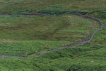 Wasdale-277