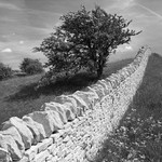 2141 - New Cotswold Drystone Wall