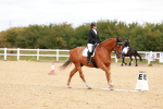 SBM_001914