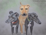 Sophie Scooby and Lucy