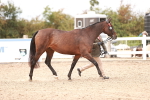 SBM_16276