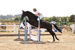 SBM_001079