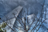 World Trade Center 2015