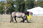 WJ6_4376