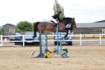 Class 11 - Senior Foxhunter - 1.20m portfolio