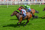 280625-Race 3-Squealer-0255