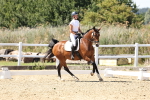 SBM_003279