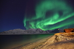 Northernlight 4