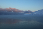 Sea fog in the pink light