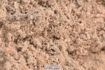 260819-115223-00408
