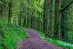 Offa's Dyke Path