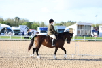 SBM_08711