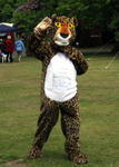 12 IMG_8370