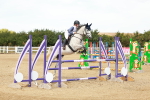 SBM_003577