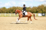 SBM_000335