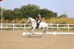 SBM_009279