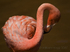 Flamingo 01