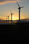 windfarm 1 of 1