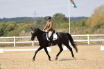 SBM_018688