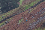 Langdale-5