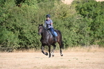 WJ6_6831