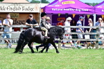 SBM_05760