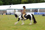 SBM_02634